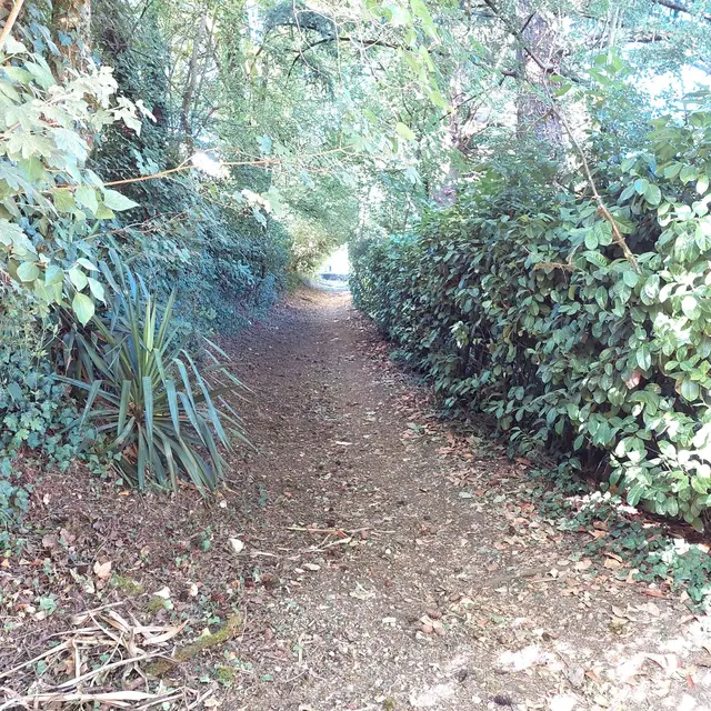 CHANCELADE-Boucle des Andrivaux-Chemin