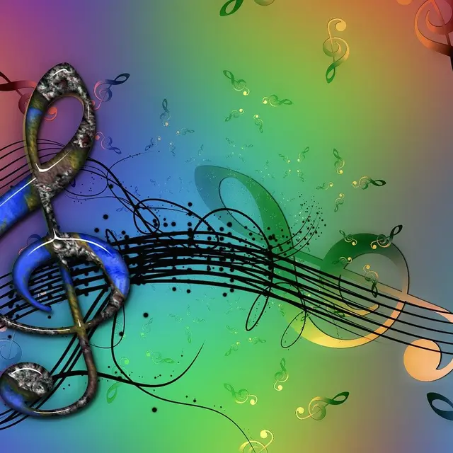 CONCERT (2)