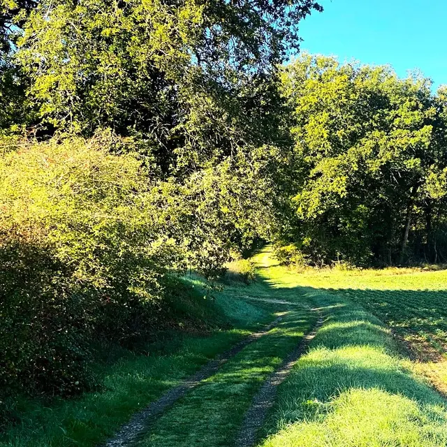 CONDAT-SUR-TRINCOU-Boucle Dronne et Trincou-Chemin