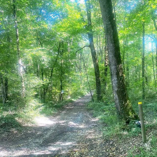 CORNILLE-Boucle des étangs-Chemin-Poteau