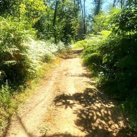 COURSAC-Chemin d'ambroise-Chemin