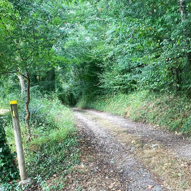 CREYSSENSAC-ET-PISSOT-Boucle de l'écureuil-Chemin-Poteau 2