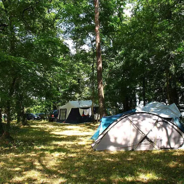 Camping Milhac oies 2