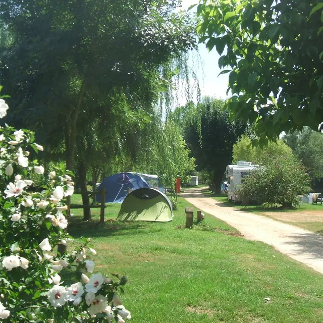 Camping municipal2 2