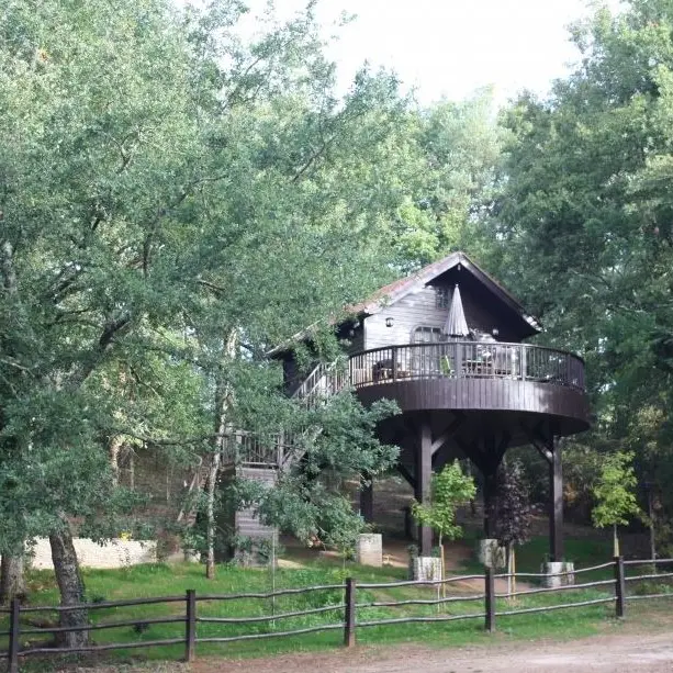Cabane-le-rouge-gorge-2