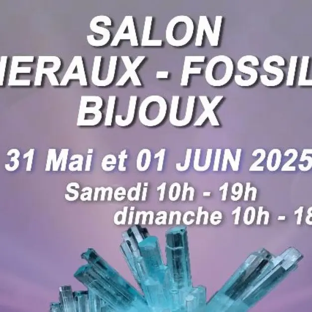 Capture d’écran 2025-05-09 151942
