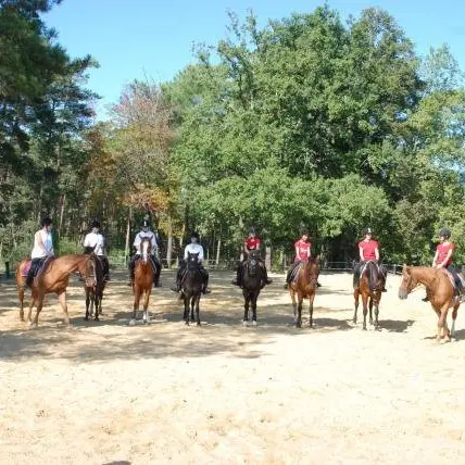 Centre equestre-Les Chevauchees du perigord