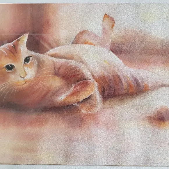 Chat à la balle ©Christian Benoit