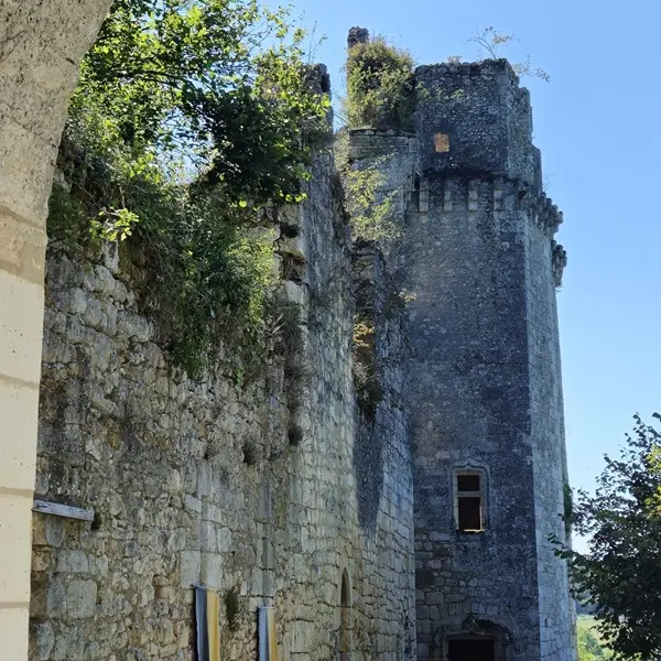 Château de Bruzac