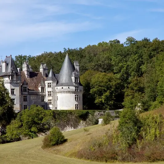 Château de Puyguilhem_2