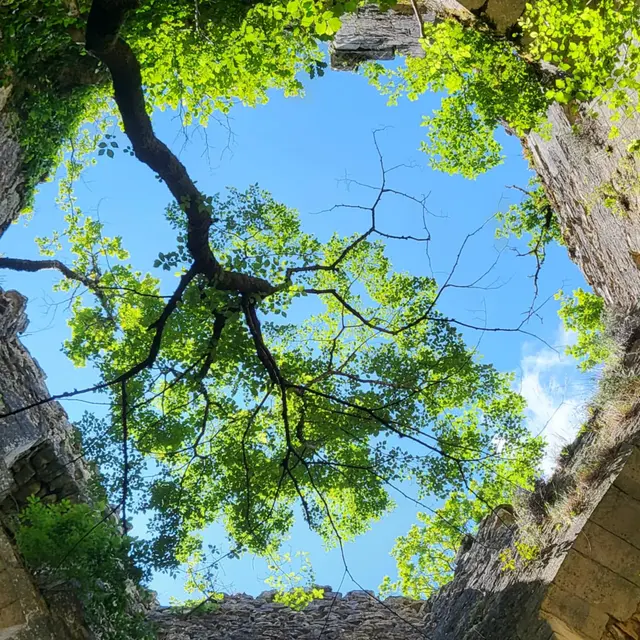 Château de le Renaudie8