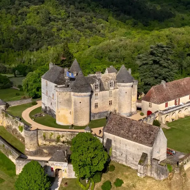 Chateau salignac