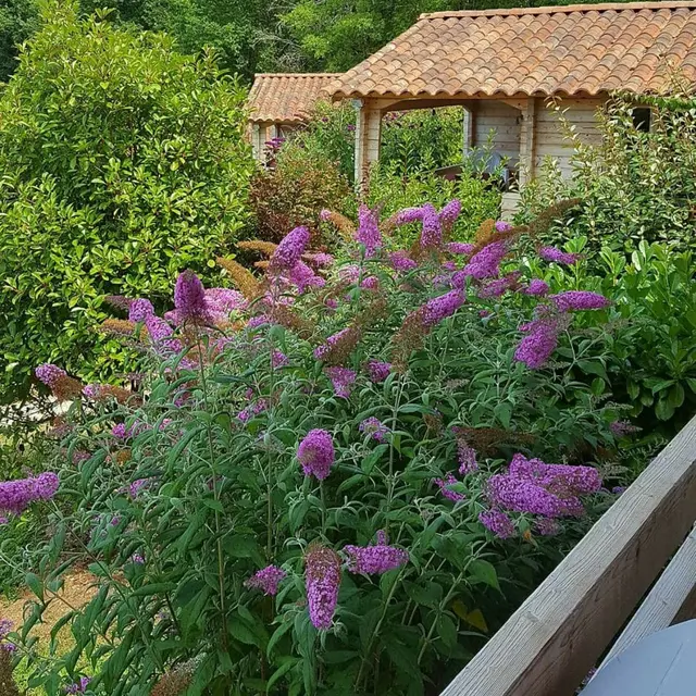 Chalets de l'Ecrin de Nature