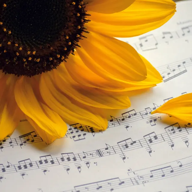 Chant musique_Frauke Riether Pixabay