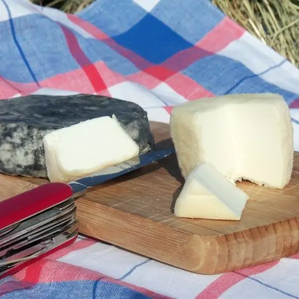 Chèvrerie d'Antryca