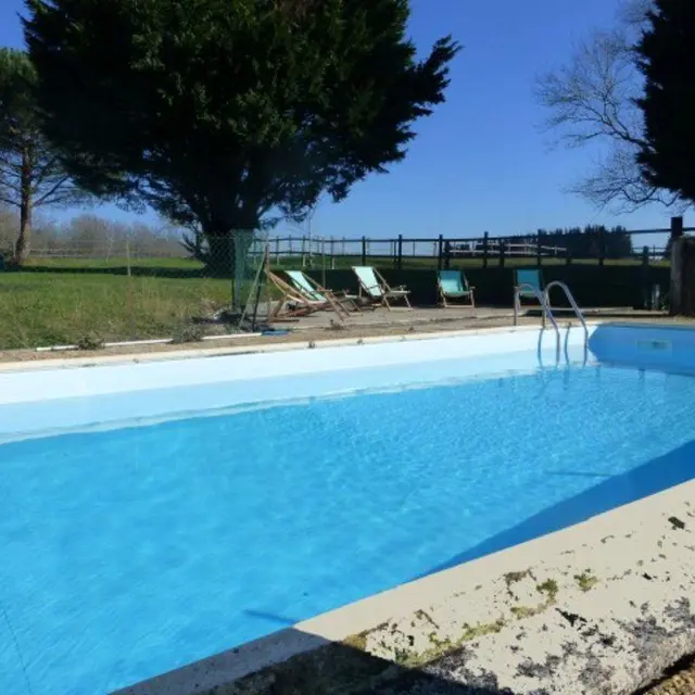 Chez Marot