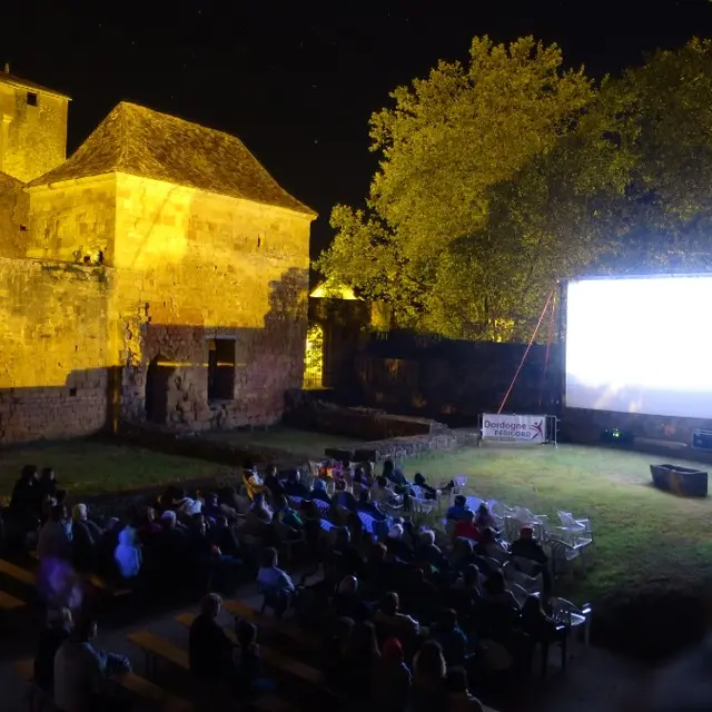 Cinéma de plein air