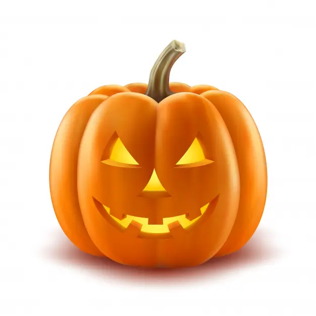 Citrouille-fête-automne-duellas-vallee-isle-perigord