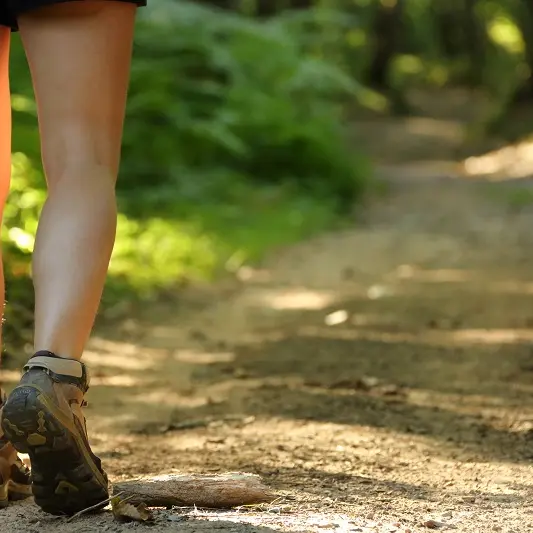 Copyright-M_Turin-CRTNA-PNR_Perigord-Limousin-4964