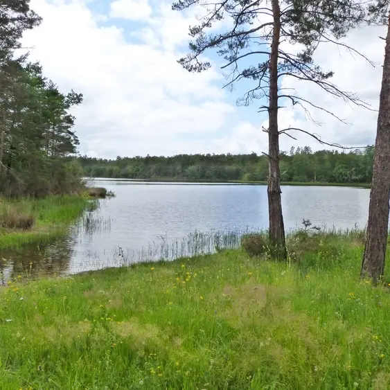 Etang de la Jemaye6 © Ot Pays Ribéracois