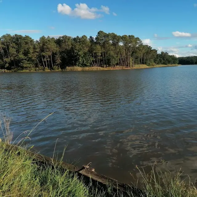 Etang de la Jemaye (3)