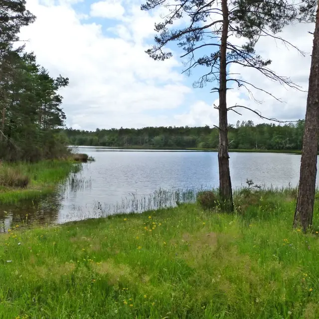 Etang de la Jemaye_Ot Périgord Ribéracois
