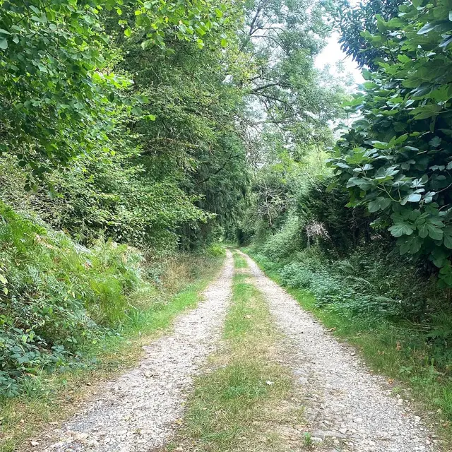 FIRBEIX-Boucle des étangs-chemin