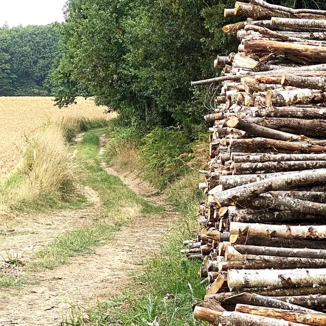 FIRBEIX-Boucle des forges-chemin