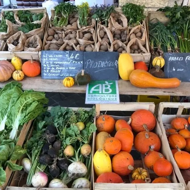 Ferme-bio-St-Martin-de-Gurson-légumes sirtaqui
