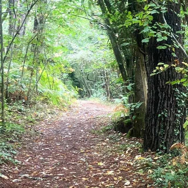 GRUN-BORDAS-Boucle de Grun-Chemin