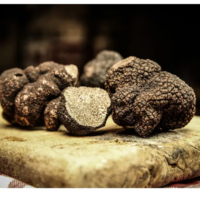 Gabarit Sirtaqui - 1