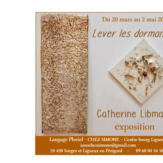 Affiche exposition Catherine Libmann