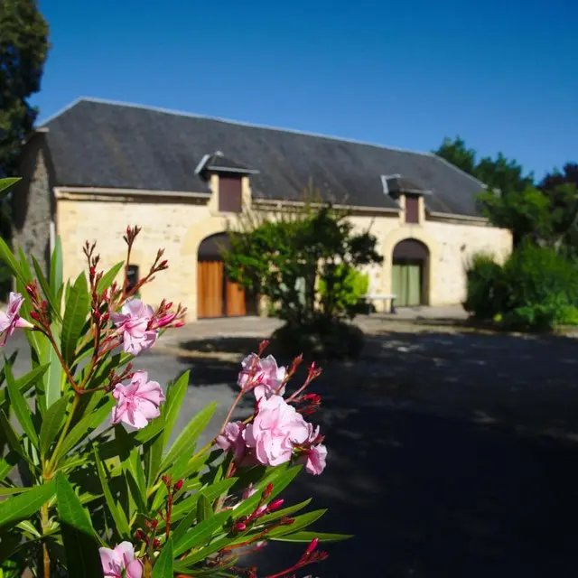 Gite l'Albizia