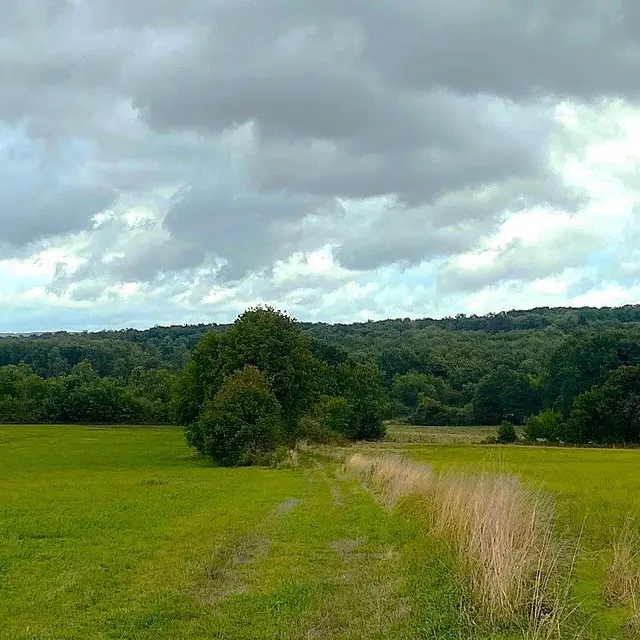 HAUTEFAYE-Boucle du Clos Neuf-Chemin 2