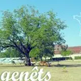 HLO 5383 Les Genêts