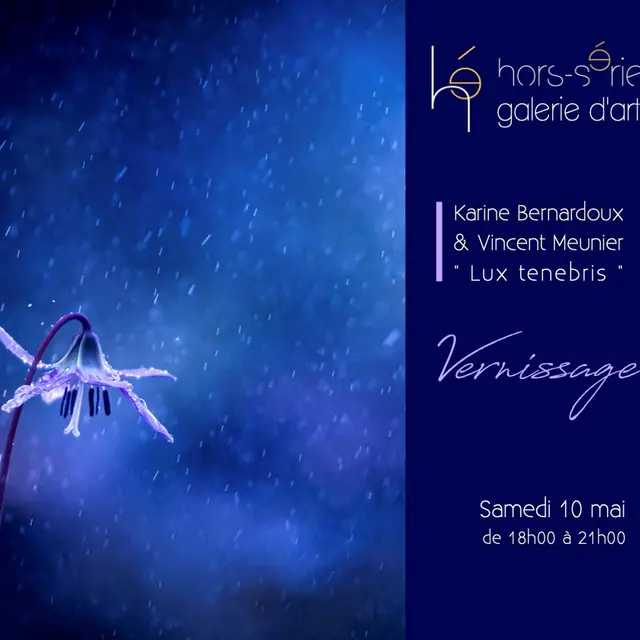 Hors série vernissage Lux tenebris 10 Mai 2025
