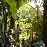Jardin Exotique La Roque Gageac