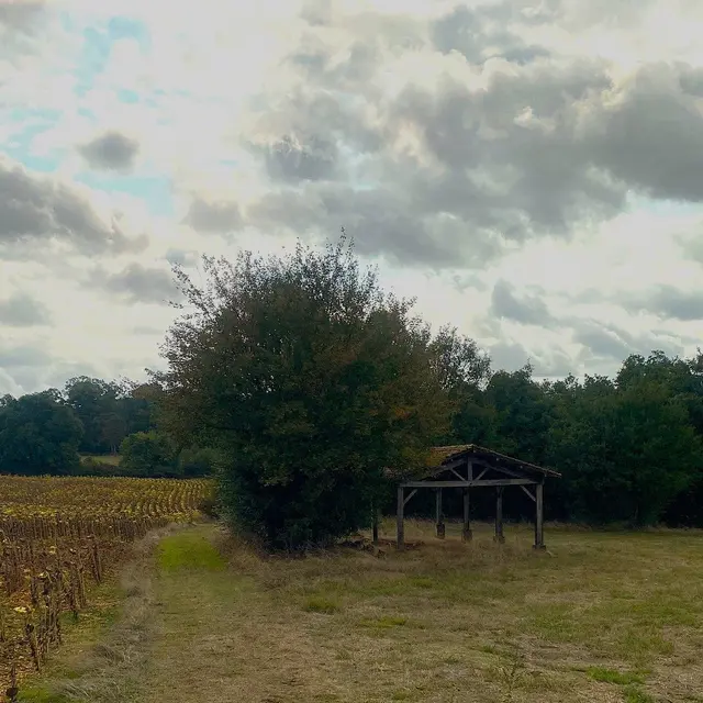 LA CHAPELLE-SAINT-ROBERT-Boucle Romane-Chemin