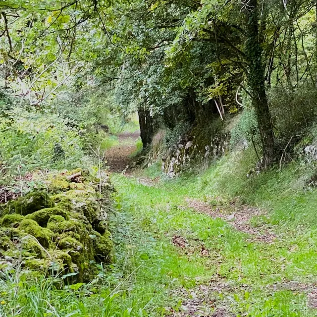 LA GONTERIE-BOULOUNEIX-Boucle de La Gonterie-Chemin