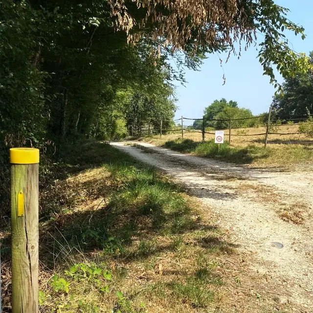 LACROPTE-Boucle du Rontlet-chemin 2