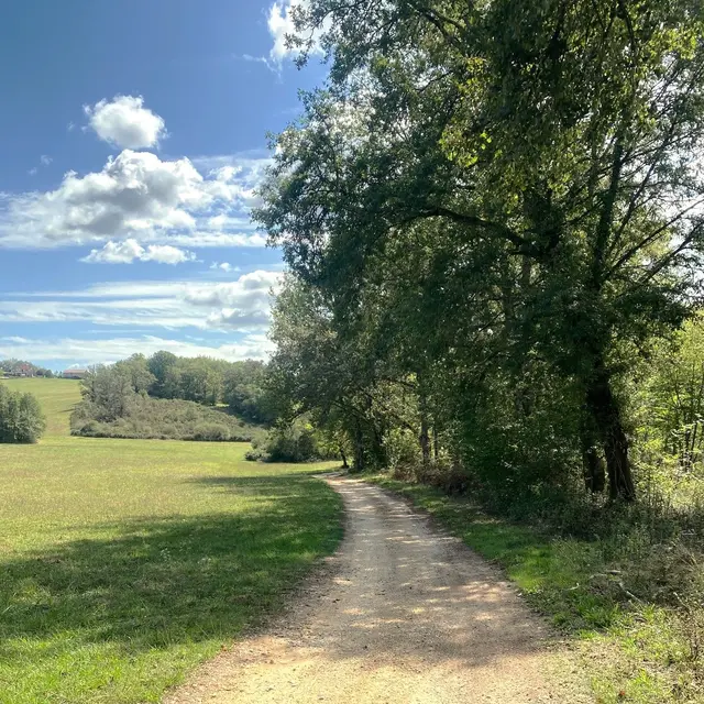 LARZAC-Boucle des Viaducs-Chemin