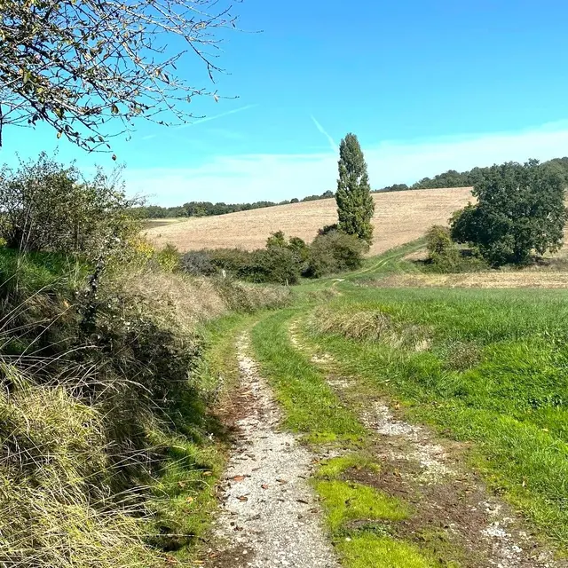 LEGUILLAC-DE-CERCLES-Boucle de Léguillac-Chemin 2