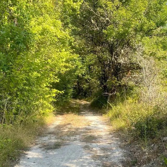 LEGUILLAC DE L'AUCHE-Sentier Mérovingien-Chemin