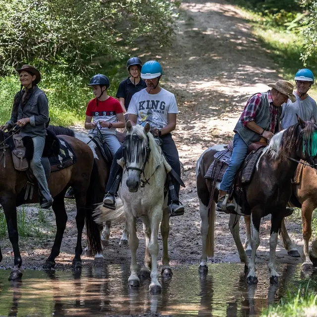 La Forêt à Cheval