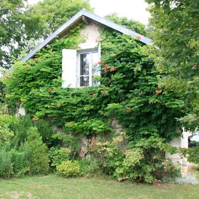 Le Clos des Bergeries 1