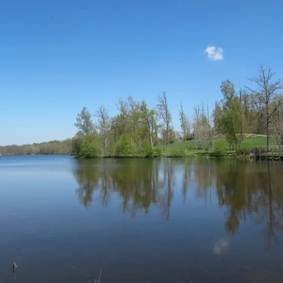 Le Grand Etang de St-Estephe