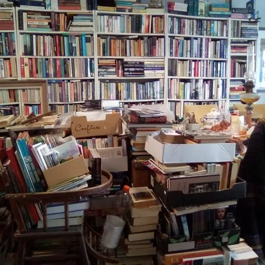 Le Rat de Bibliothèque
