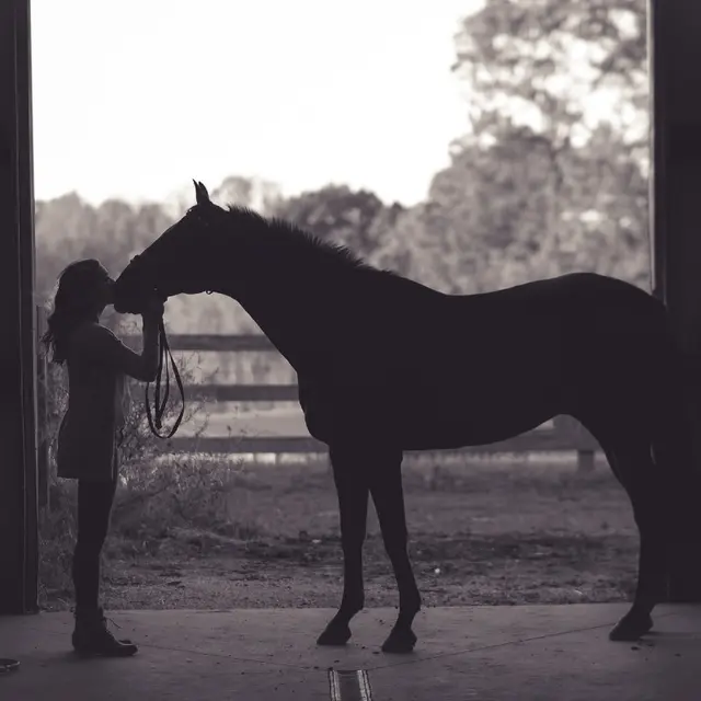 Le cheval autrement
