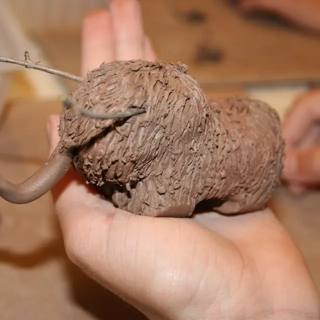 Le mammouth à la loupe 2019 5