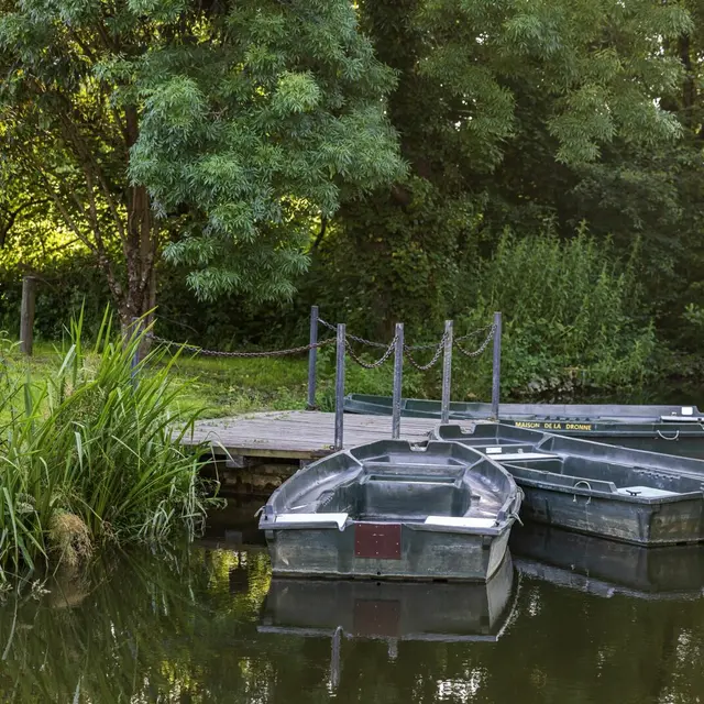 MAISON DE LA DRONNE (25)